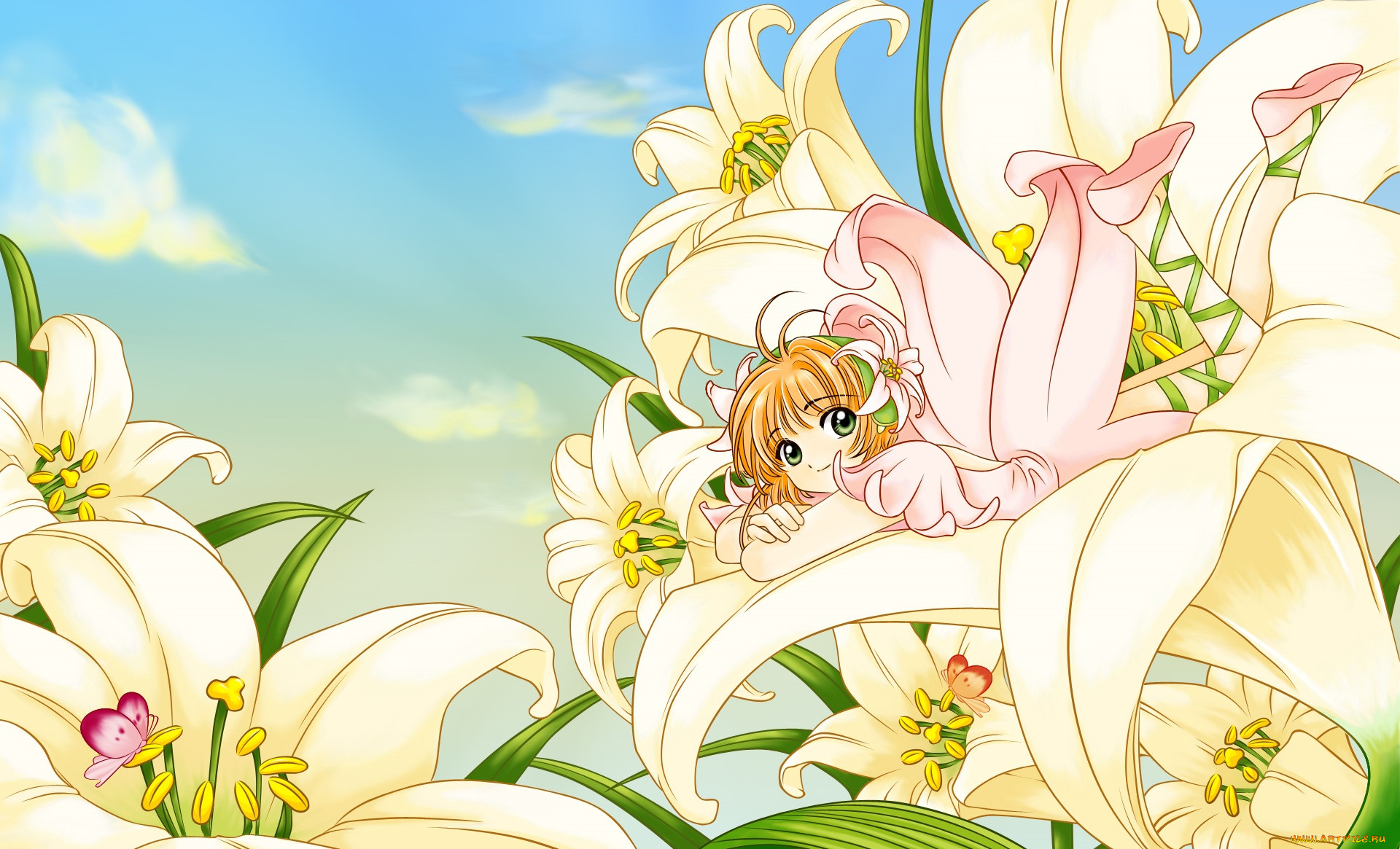 card captor sakura, , , , 